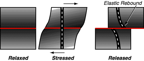 Seismic rebound diagram